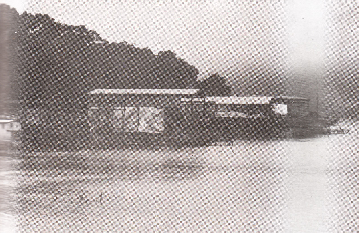 荔枝碗，熱奶茶